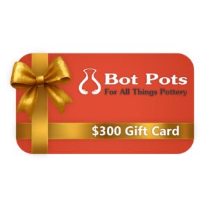 $300 Gift Card