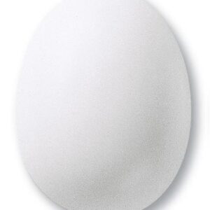 TerraColor Matt White L/F Powder Glaze