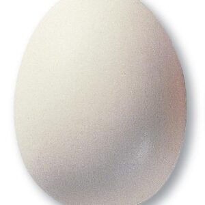 TerraColor Matt Clear L/F Powder Glaze