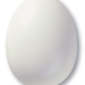 TerraColor Ivory L/F Powder Glaze