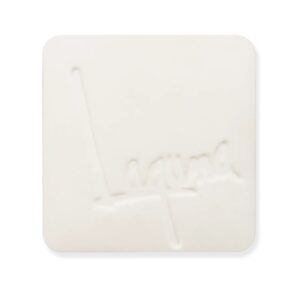 Laguna Very White Porcelain Slip Powder 50lb/22.68kg